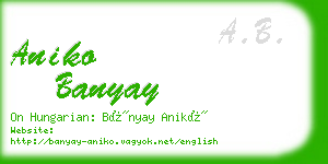 aniko banyay business card